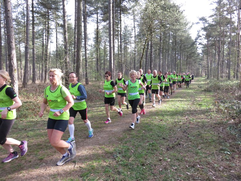 GielsBosloop 2015 - 034